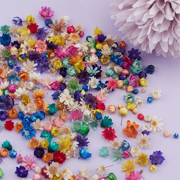Real Dried Flowers For DIY Art Craft Epoxy Resin Candle Making Jewellery Real Dried Flowers For DIY Art Craft Epoxy Resin Candle Making Jewellery